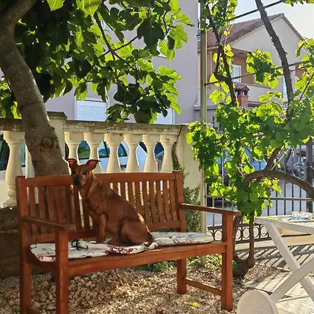 Granda Tolic 3* Biograd na Moru