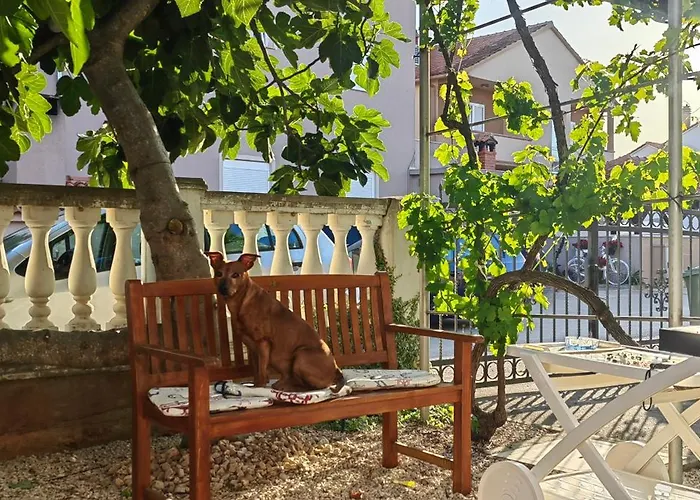 Granda Tolic 3* Biograd Na Moru