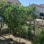 בית הארחה Granda Tolic ביוגראד נה מורו